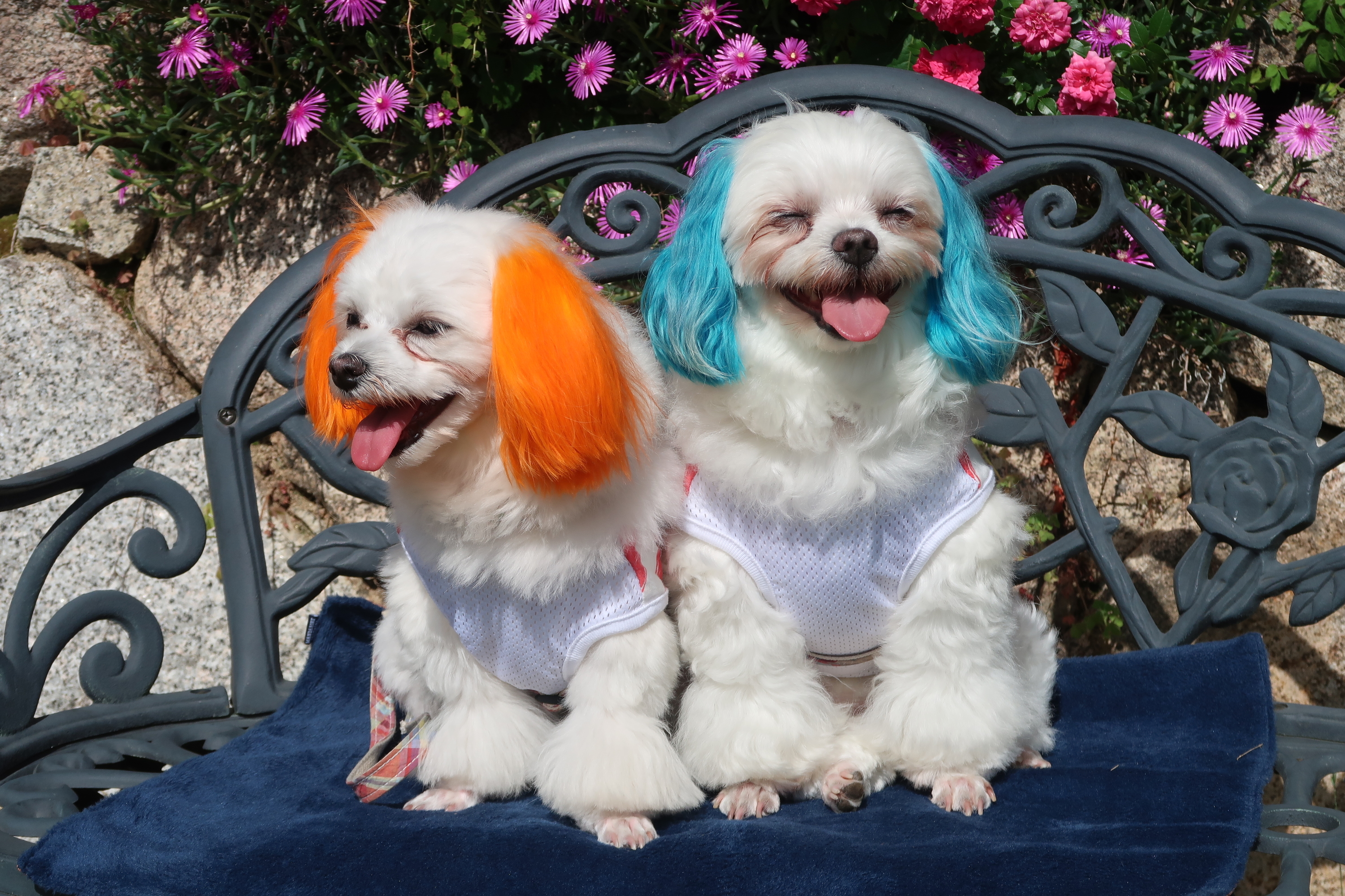 f:id:hirobe123123:20190616154459j:plain f:id:hirobe123123:20190616154459j:plain