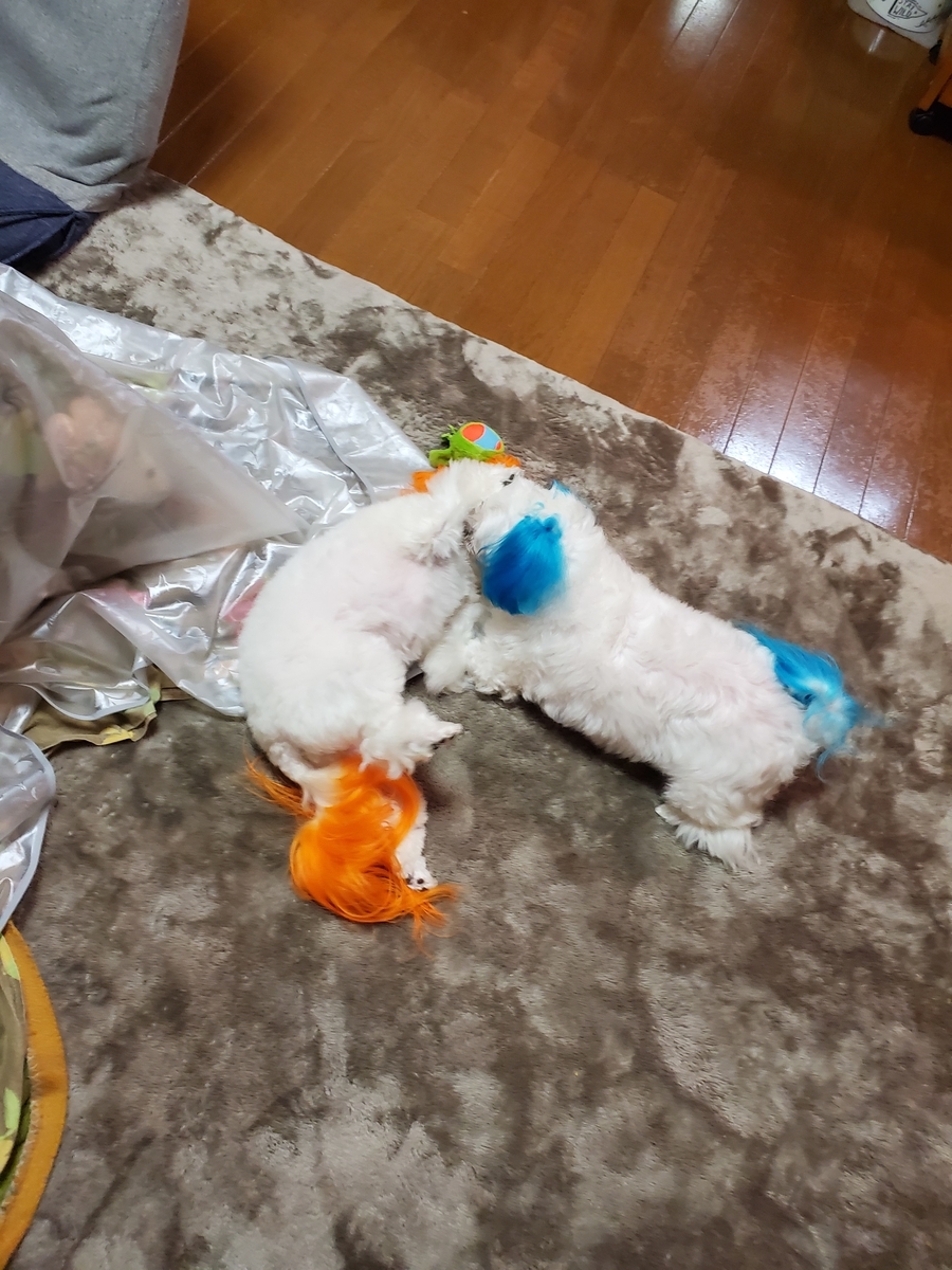 f:id:hirobe123123:20210329201153j:plain