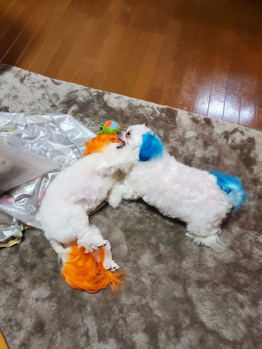 f:id:hirobe123123:20210329201157j:plain