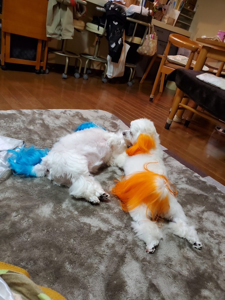 f:id:hirobe123123:20210329201441j:plain