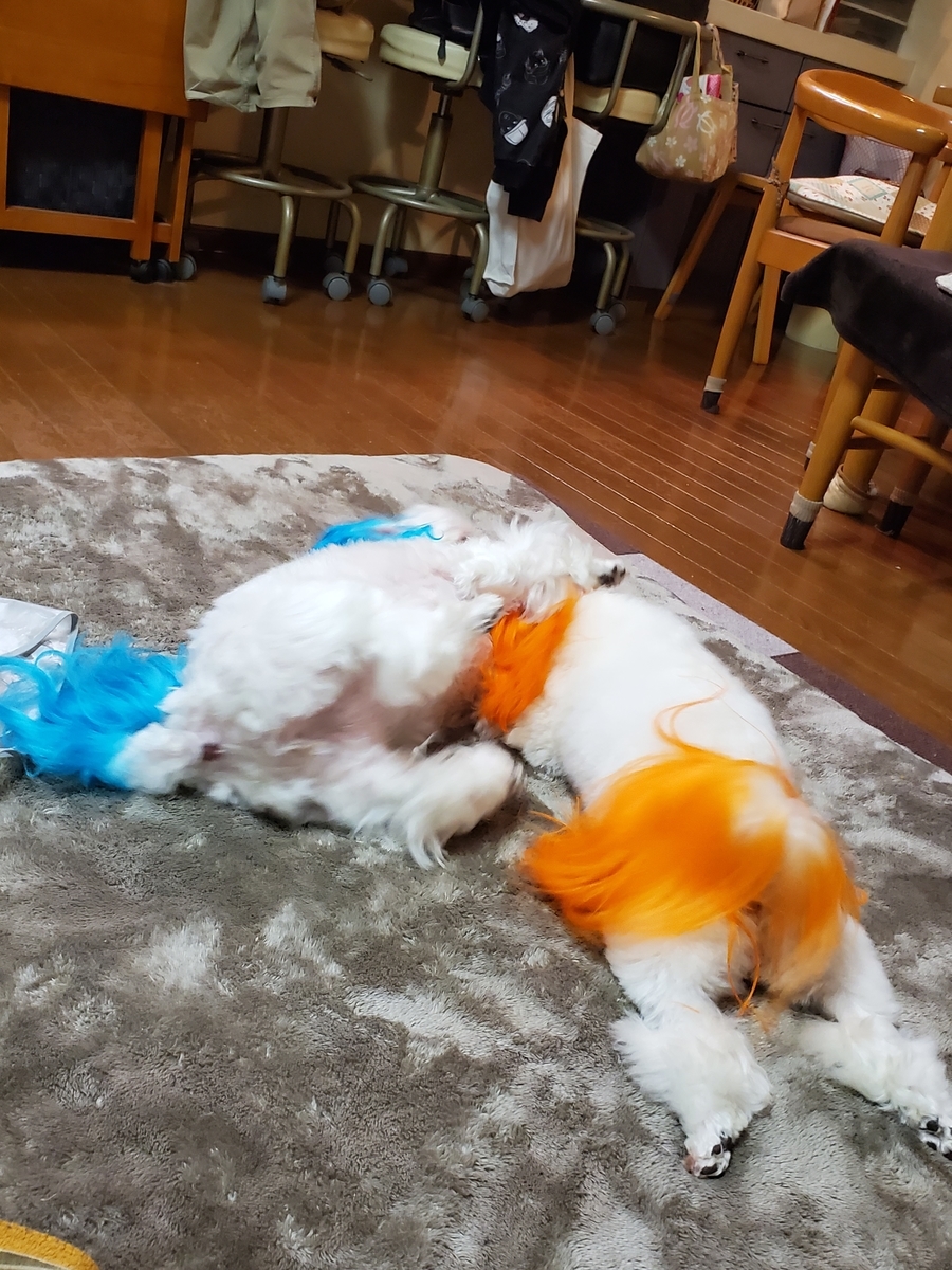 f:id:hirobe123123:20210329201447j:plain