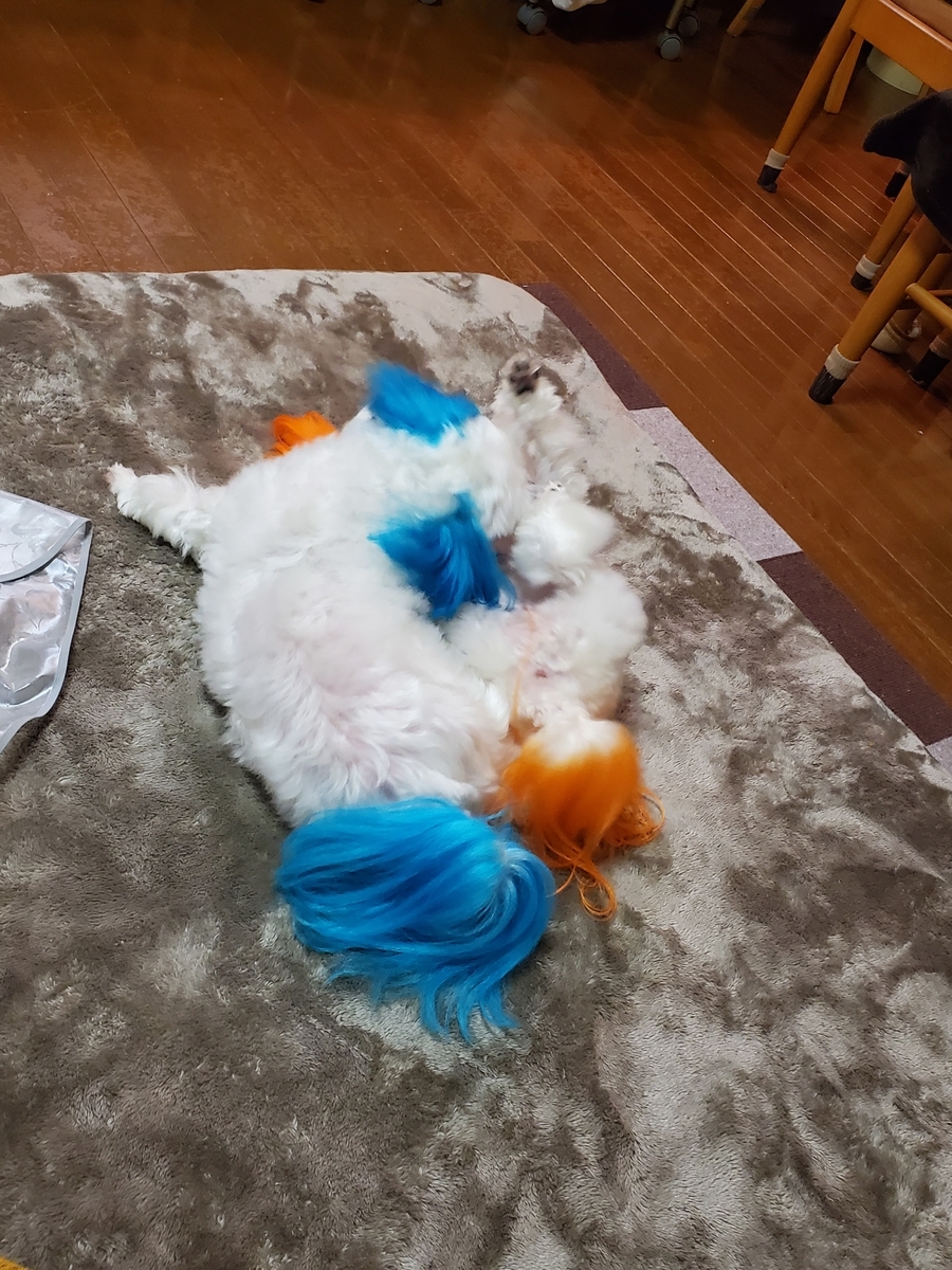 f:id:hirobe123123:20210329201501j:plain