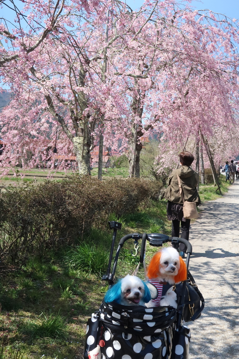 f:id:hirobe123123:20210410133913j:plain