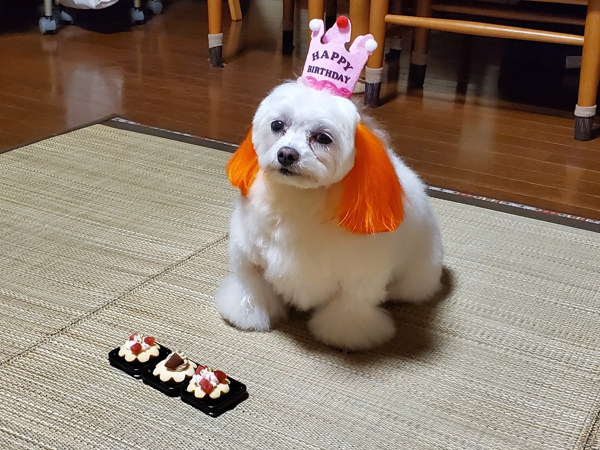 f:id:hirobe123123:20210531204154j:plain