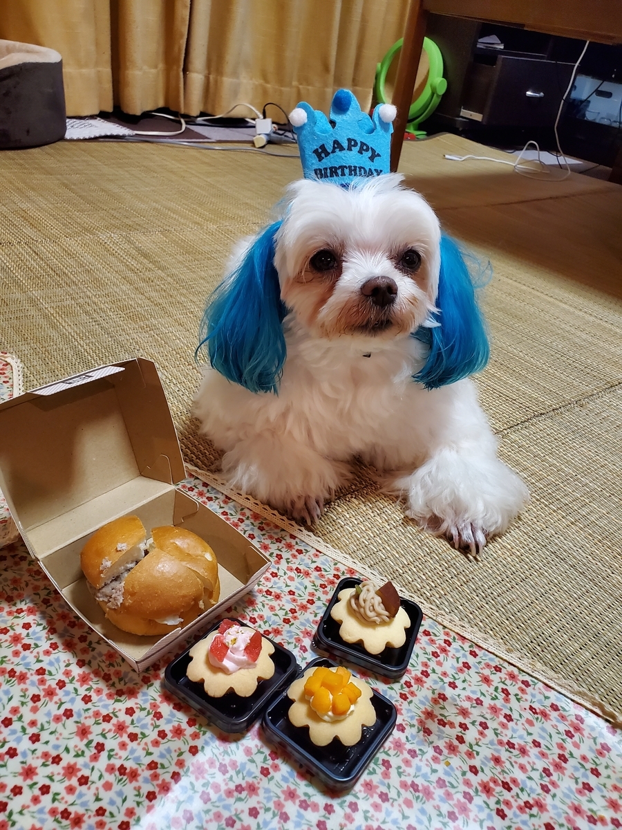 f:id:hirobe123123:20210604194041j:plain