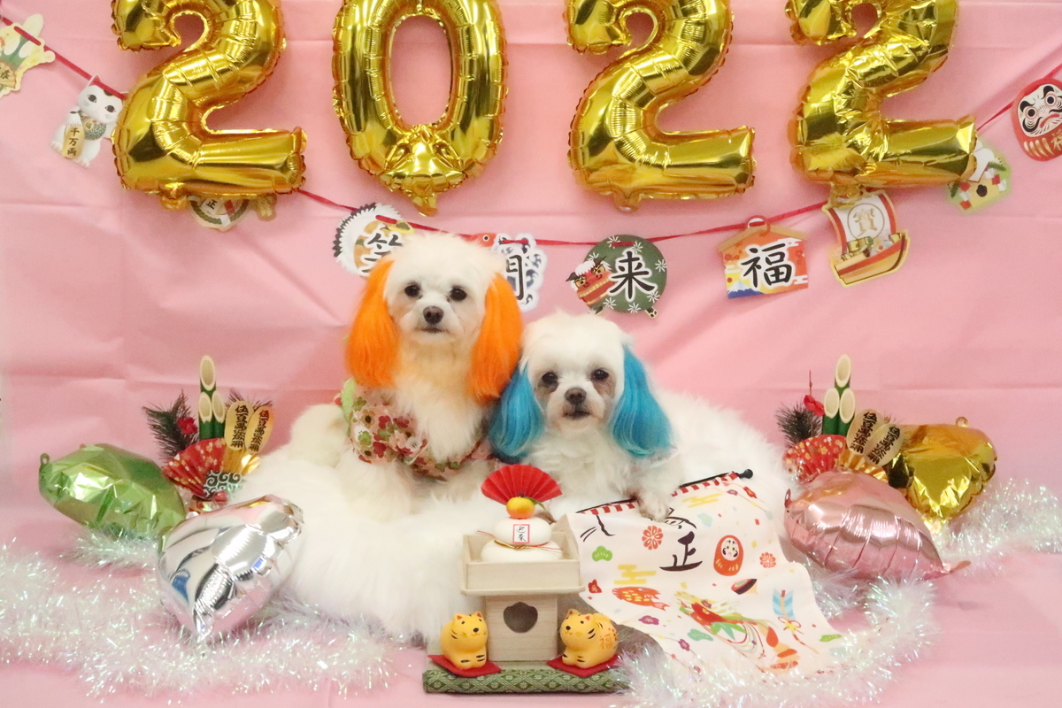 f:id:hirobe123123:20211220140536j:plain