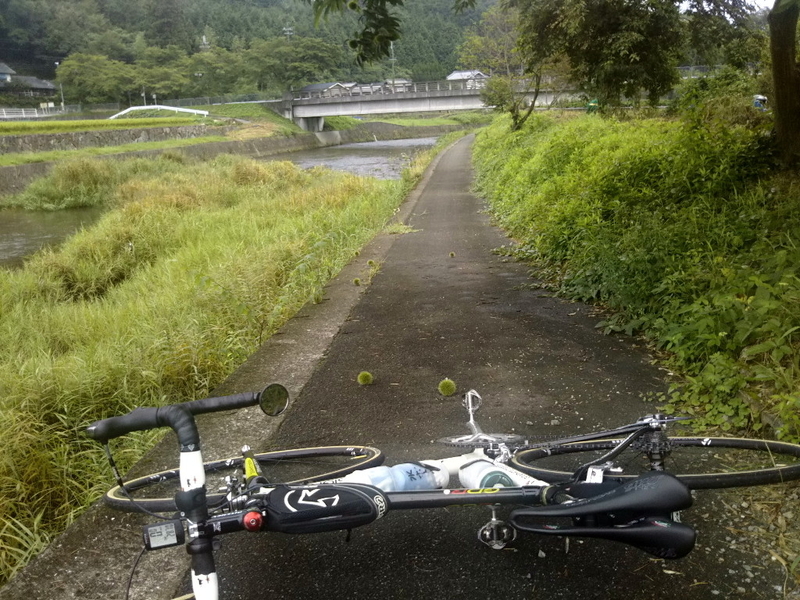 イメージ 3