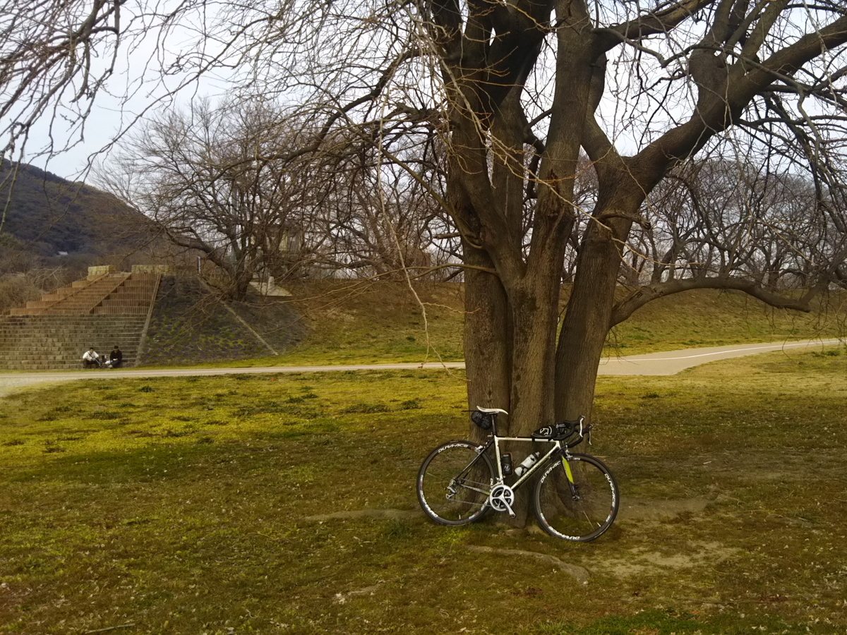 f:id:hirobees:20190912180218j:plain f:id:hirobees:20190912180218j:plain