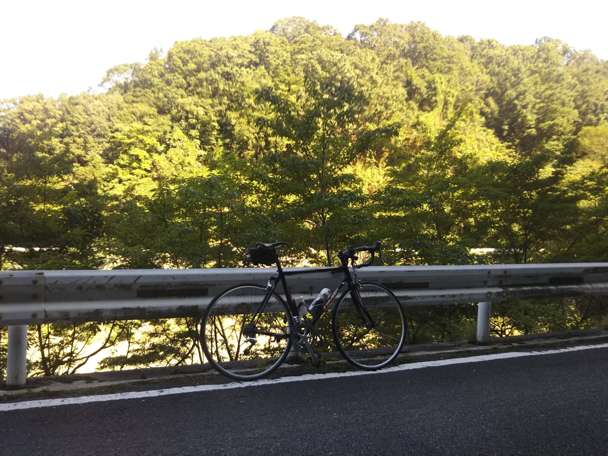 f:id:hirobees:20190915204913j:plain f:id:hirobees:20190915204913j:plain