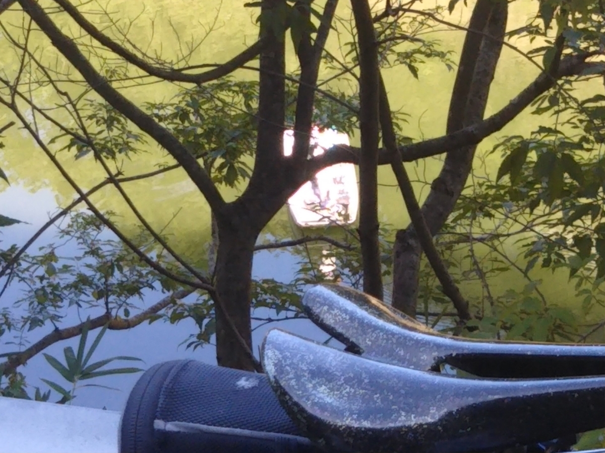 f:id:hirobees:20190915205006j:plain f:id:hirobees:20190915205006j:plain