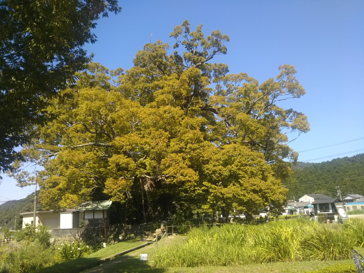 f:id:hirobees:20190915212141j:plain f:id:hirobees:20190915212141j:plain