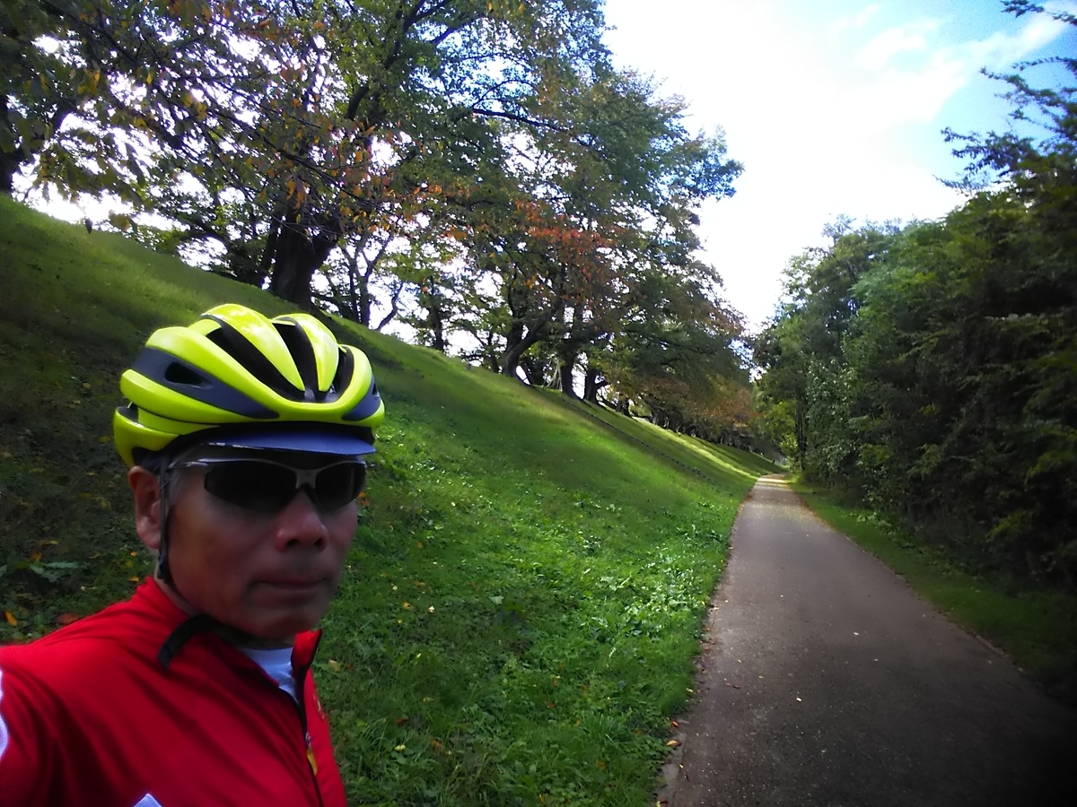 f:id:hirobees:20191105180633j:plain f:id:hirobees:20191105180633j:plain