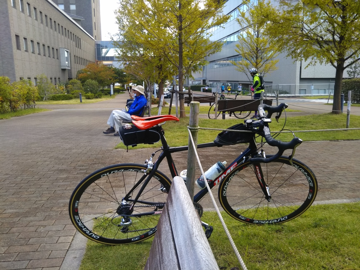 f:id:hirobees:20191105183508j:plain f:id:hirobees:20191105183508j:plain