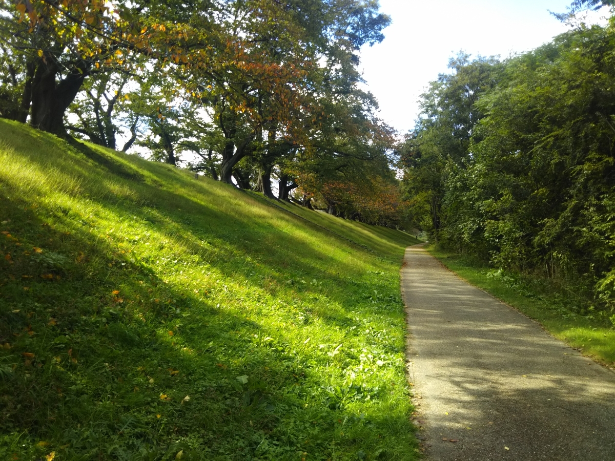 f:id:hirobees:20191105214044j:plain f:id:hirobees:20191105214044j:plain