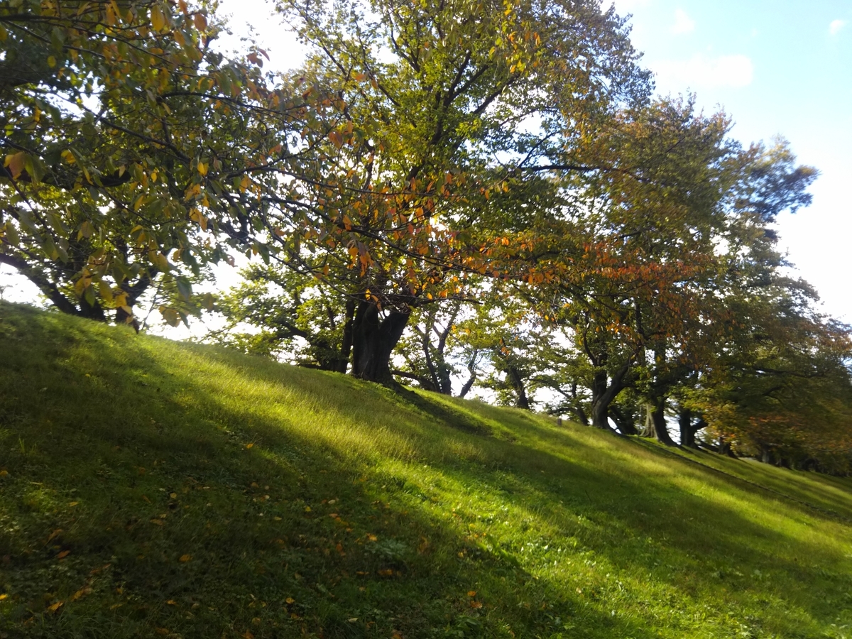 f:id:hirobees:20191105214131j:plain f:id:hirobees:20191105214131j:plain