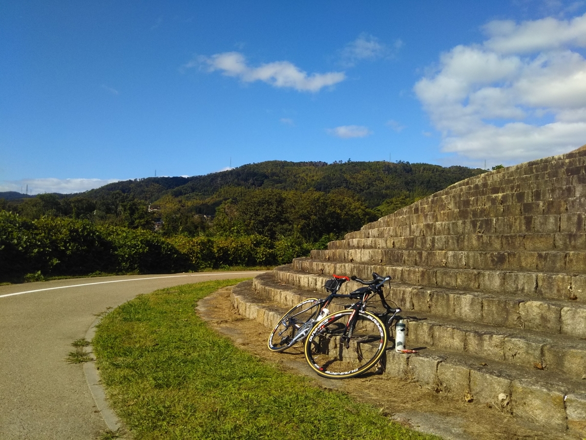 f:id:hirobees:20191105214324j:plain f:id:hirobees:20191105214324j:plain