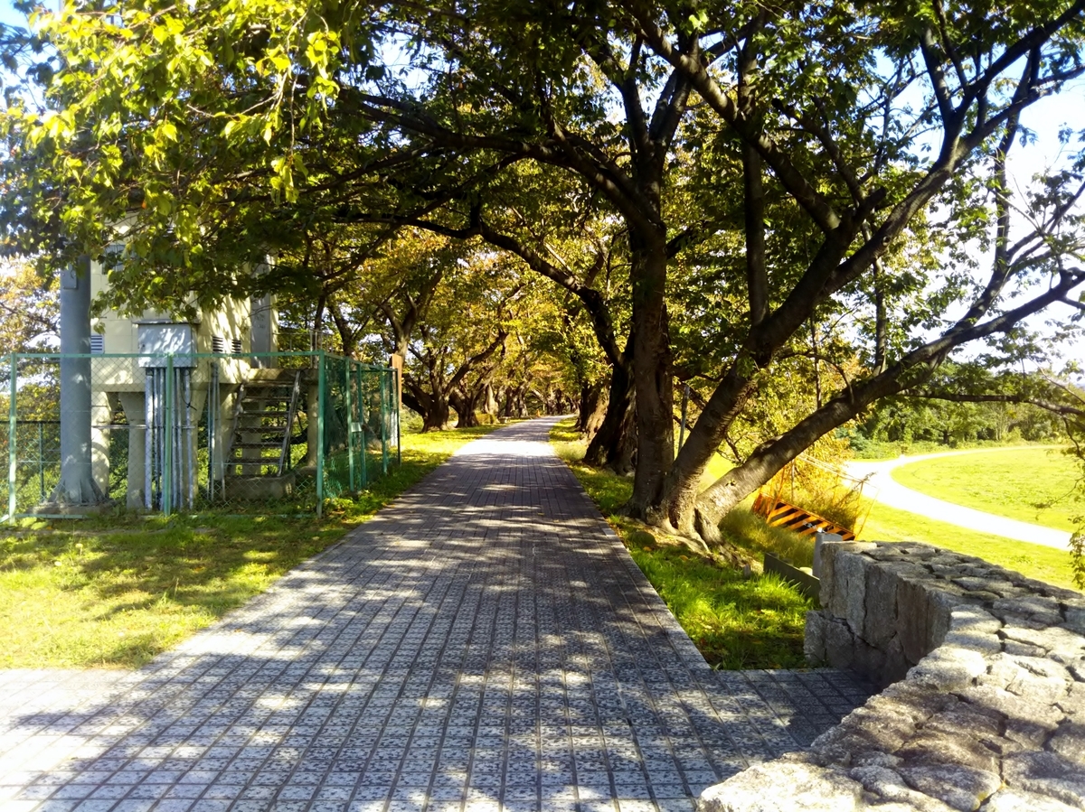 f:id:hirobees:20191105214622j:plain f:id:hirobees:20191105214622j:plain