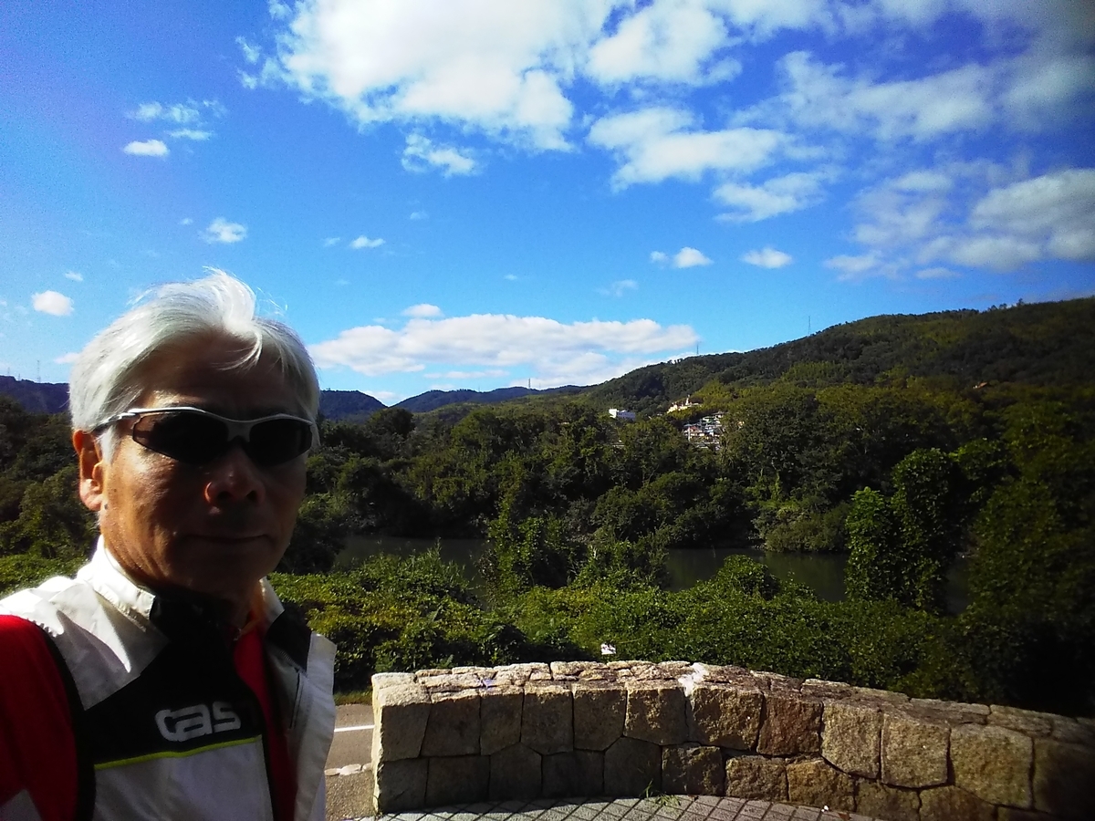 f:id:hirobees:20191105214750j:plain f:id:hirobees:20191105214750j:plain