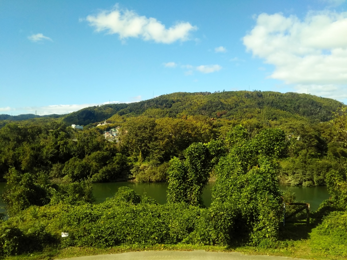 f:id:hirobees:20191105214918j:plain f:id:hirobees:20191105214918j:plain