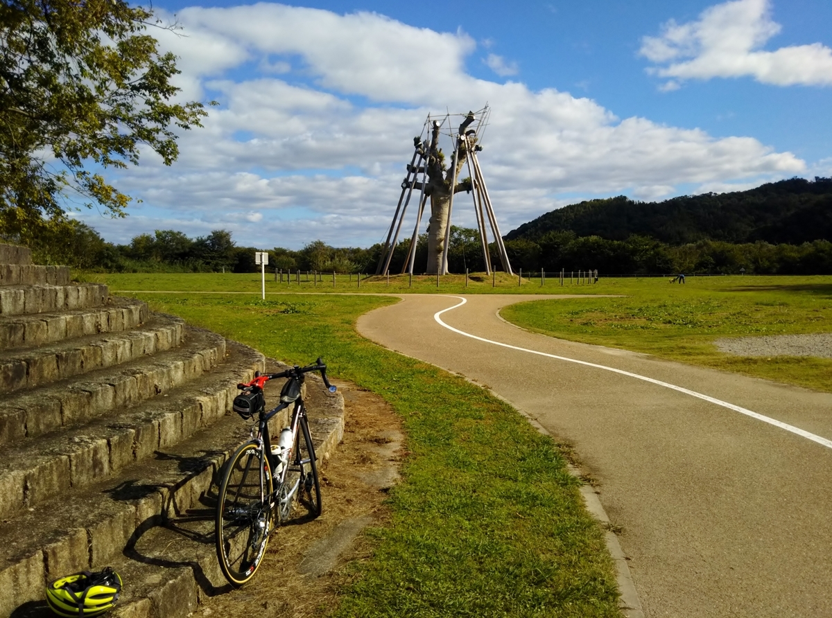 f:id:hirobees:20191105215214j:plain f:id:hirobees:20191105215214j:plain