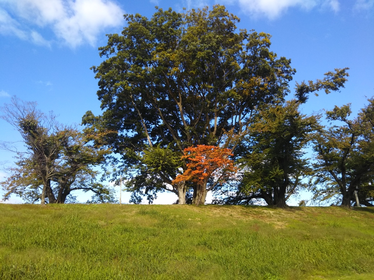 f:id:hirobees:20191105222144j:plain f:id:hirobees:20191105222144j:plain