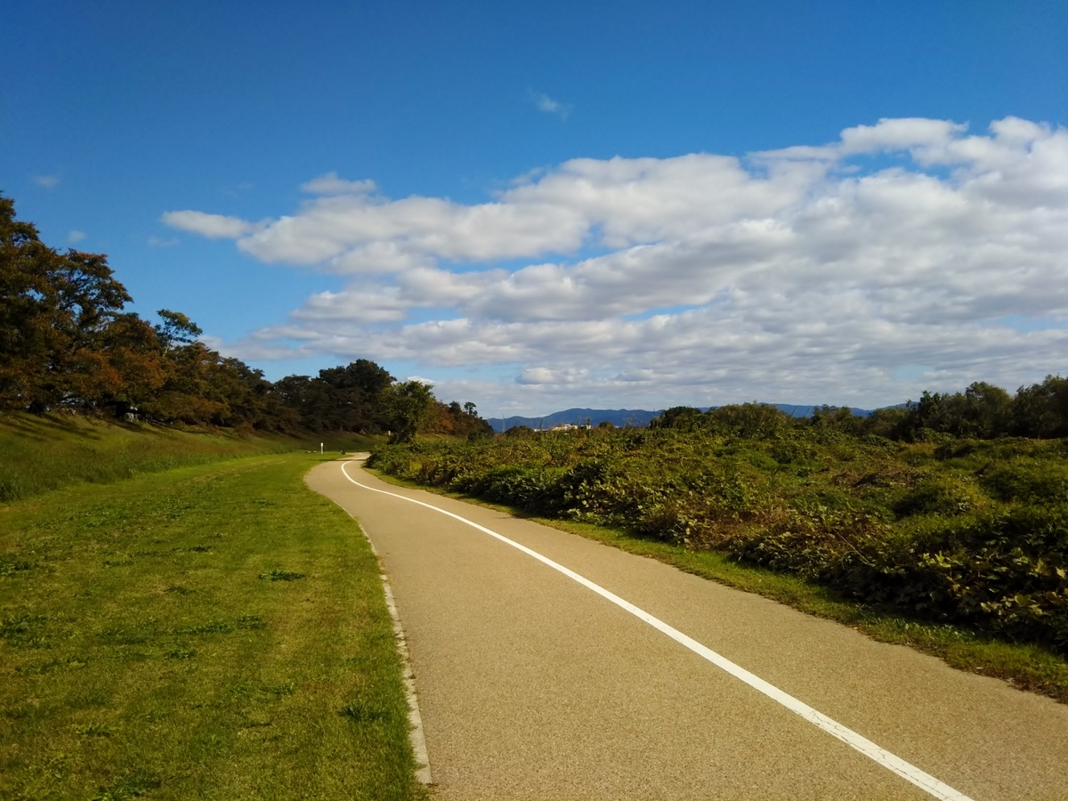 f:id:hirobees:20191105222708j:plain f:id:hirobees:20191105222708j:plain