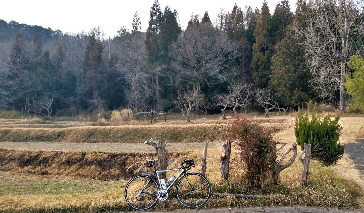 f:id:hirobees:20200402221238j:plain f:id:hirobees:20200402221238j:plain