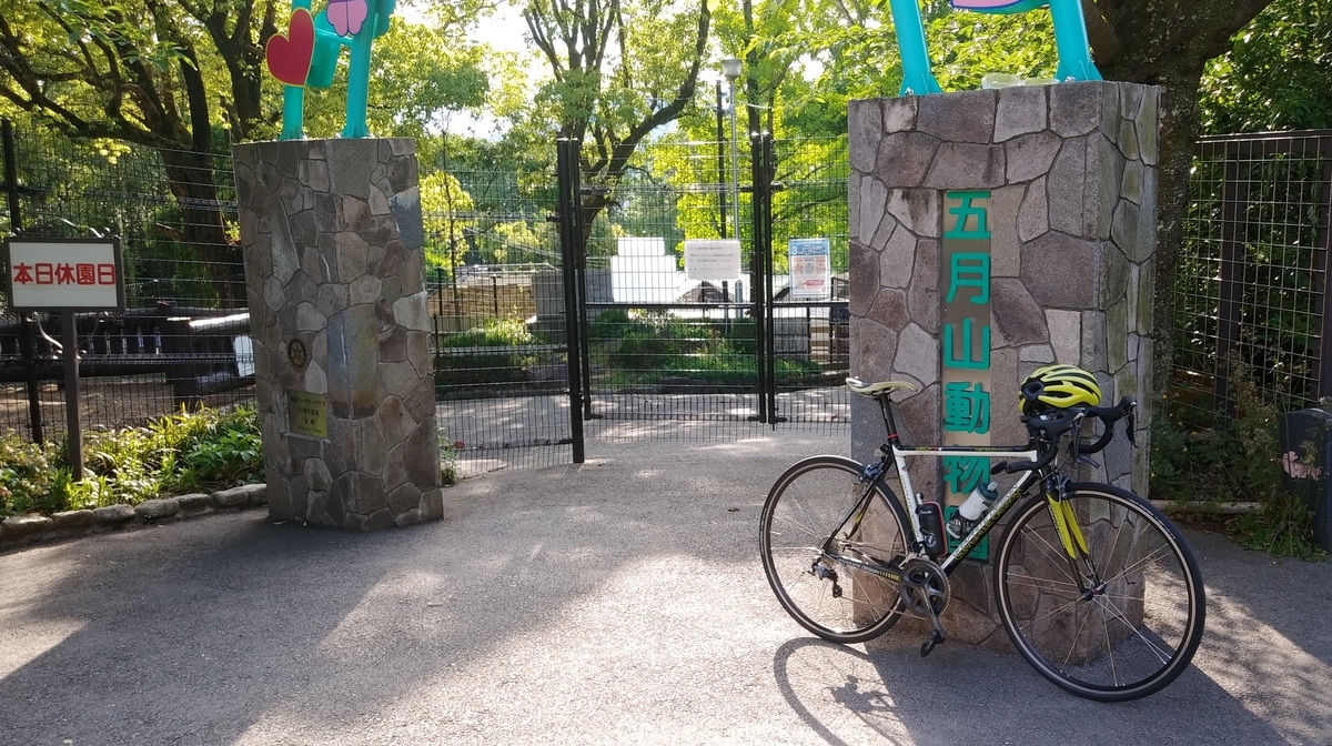 f:id:hirobees:20200518172534j:plain f:id:hirobees:20200518172534j:plain