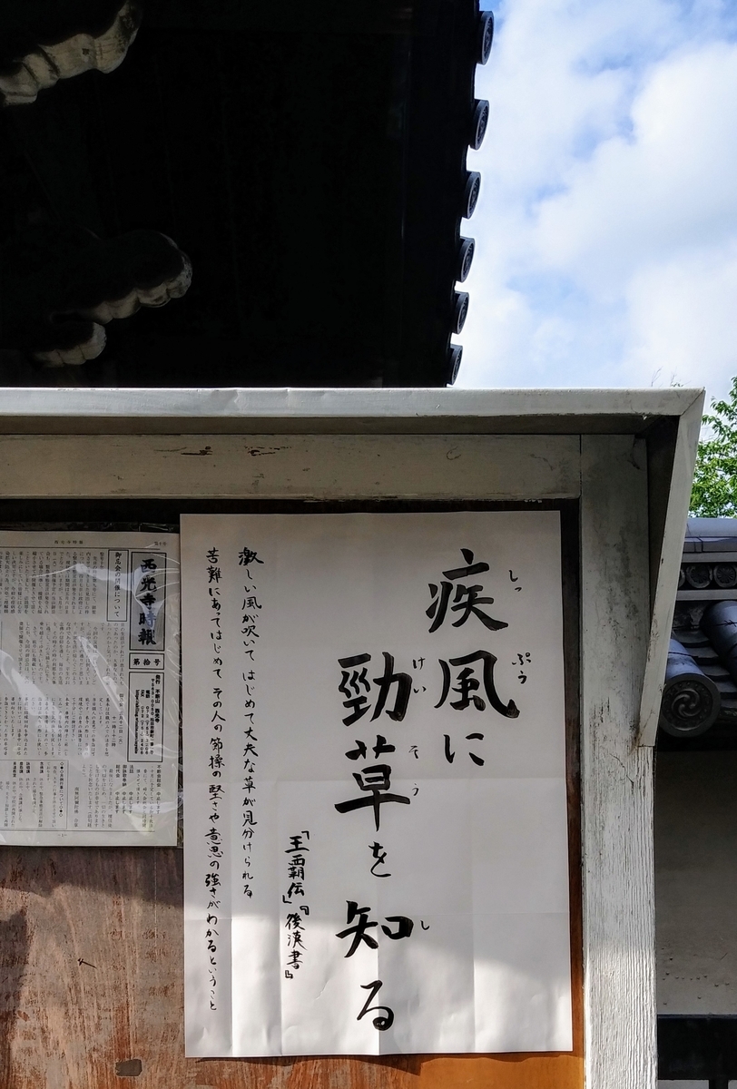 f:id:hirobees:20200518172903j:plain f:id:hirobees:20200518172903j:plain