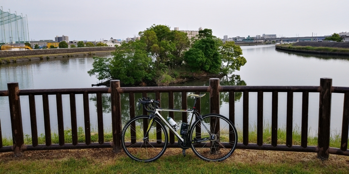 f:id:hirobees:20200518173054j:plain f:id:hirobees:20200518173054j:plain