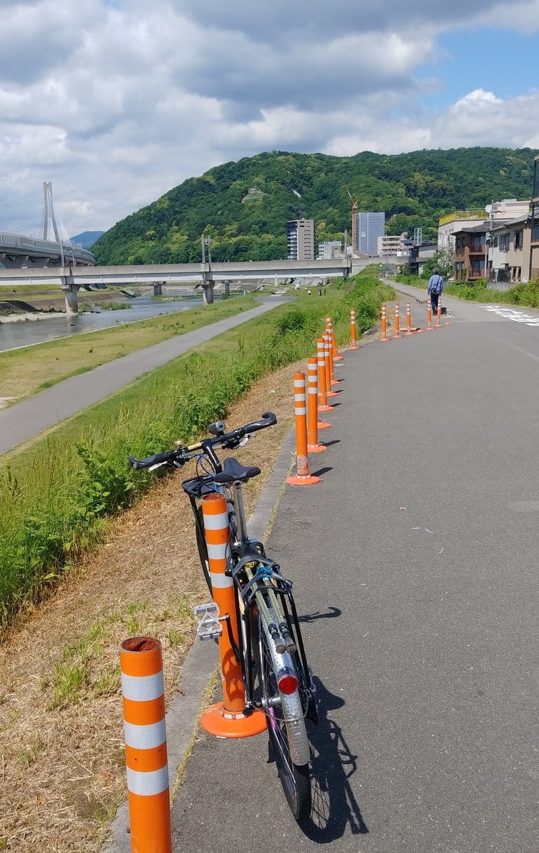 f:id:hirobees:20200522114201j:plain f:id:hirobees:20200522114201j:plain