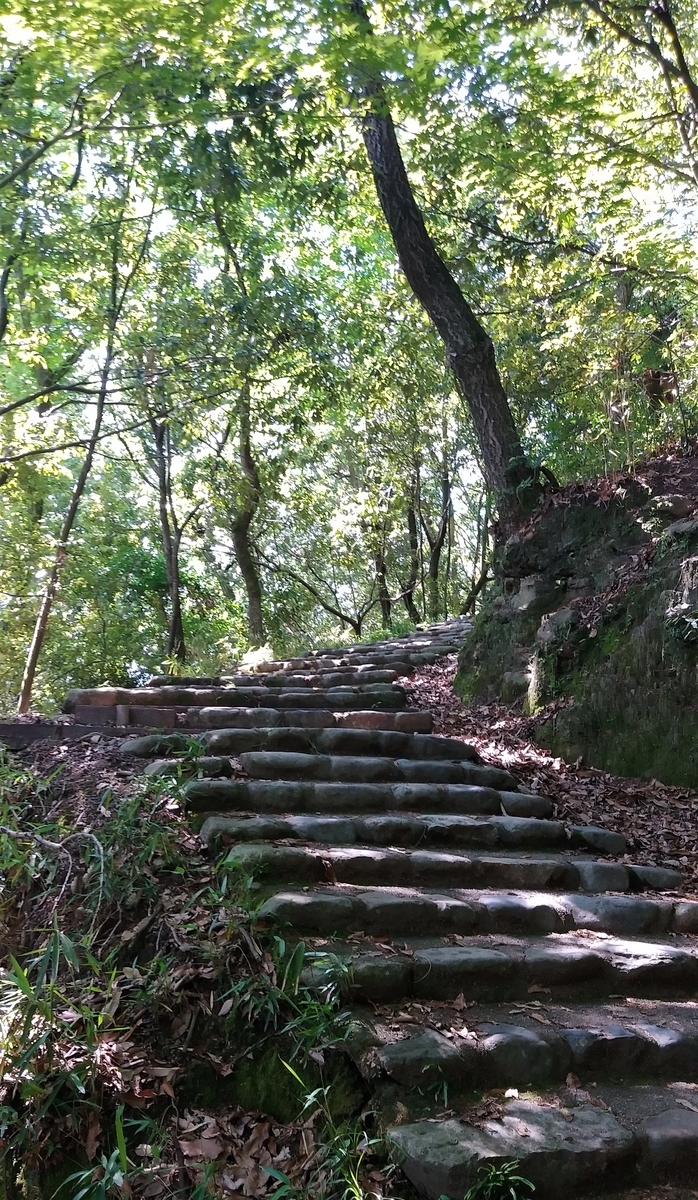 f:id:hirobees:20200522115242j:plain f:id:hirobees:20200522115242j:plain