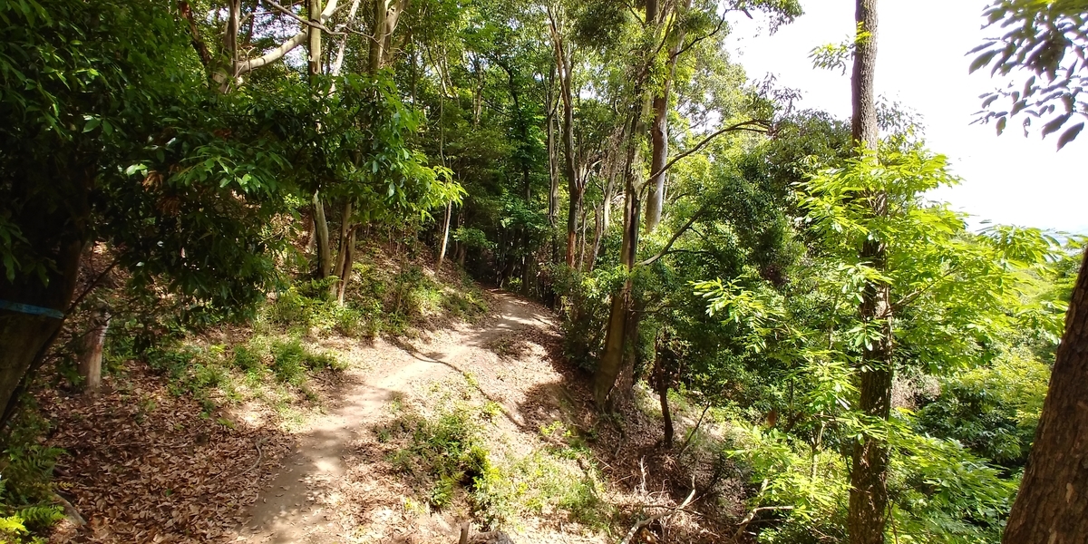 f:id:hirobees:20200522115647j:plain f:id:hirobees:20200522115647j:plain