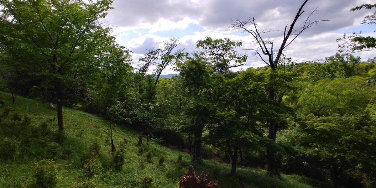 f:id:hirobees:20200522120421j:plain f:id:hirobees:20200522120421j:plain