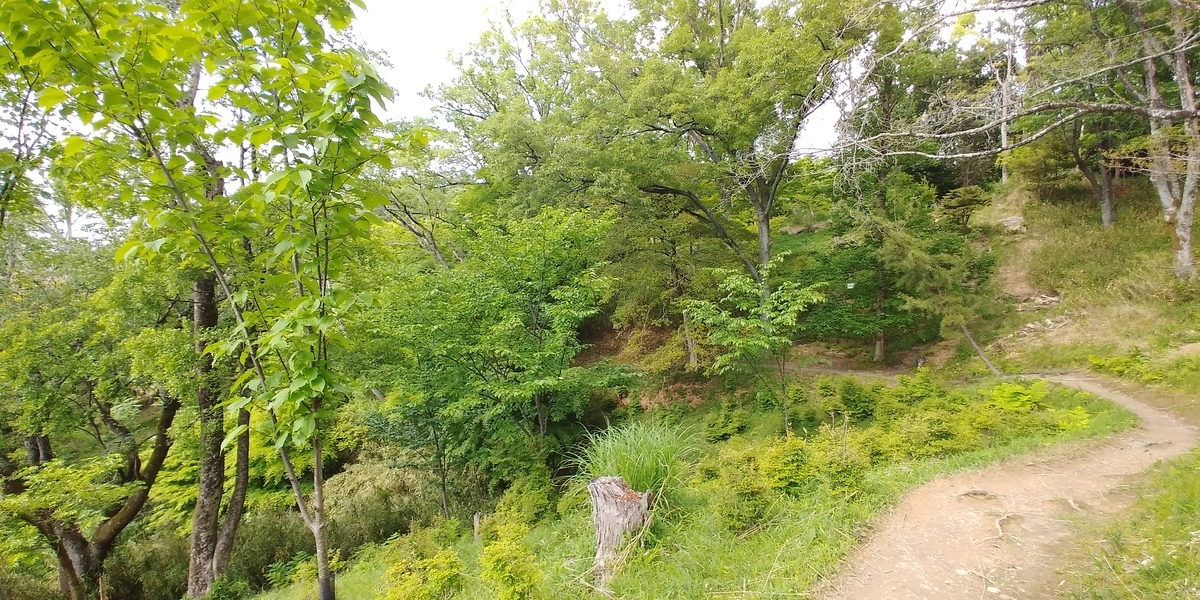 f:id:hirobees:20200522120630j:plain f:id:hirobees:20200522120630j:plain