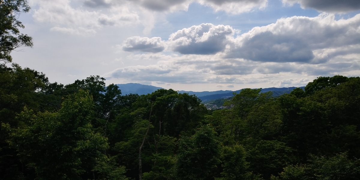 f:id:hirobees:20200522120702j:plain f:id:hirobees:20200522120702j:plain