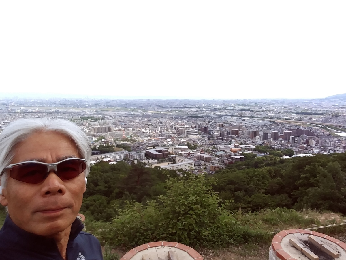 f:id:hirobees:20200522120903j:plain f:id:hirobees:20200522120903j:plain