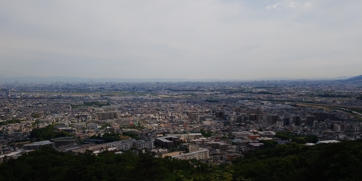 f:id:hirobees:20200522121043j:plain f:id:hirobees:20200522121043j:plain