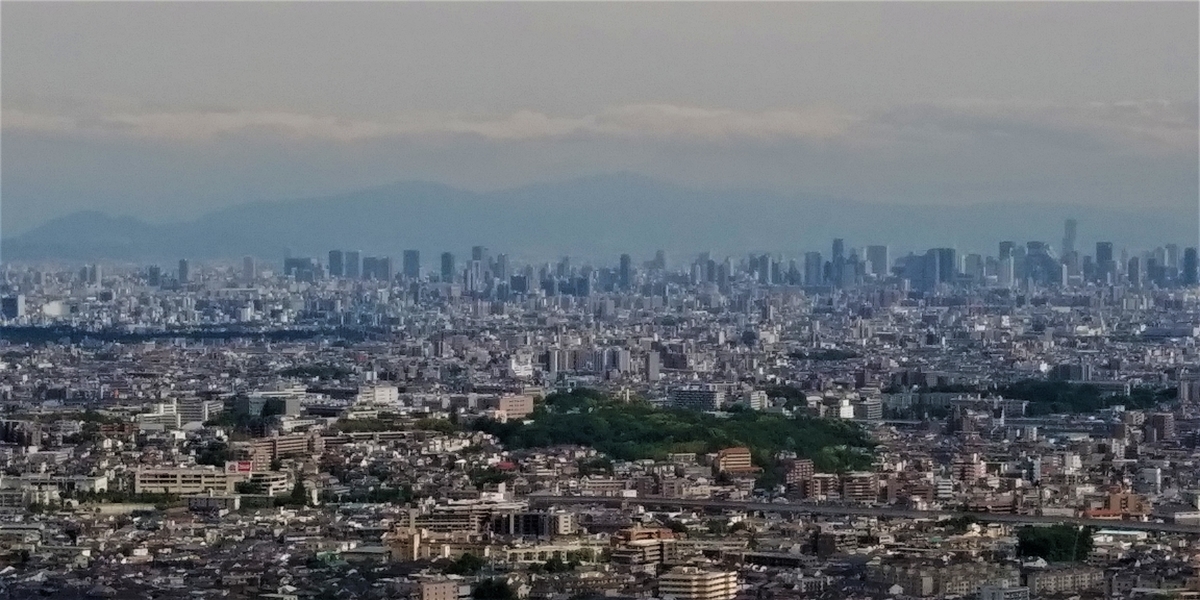 f:id:hirobees:20200522121429j:plain f:id:hirobees:20200522121429j:plain