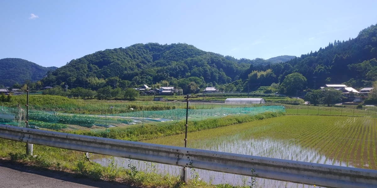 f:id:hirobees:20200607174517j:plain