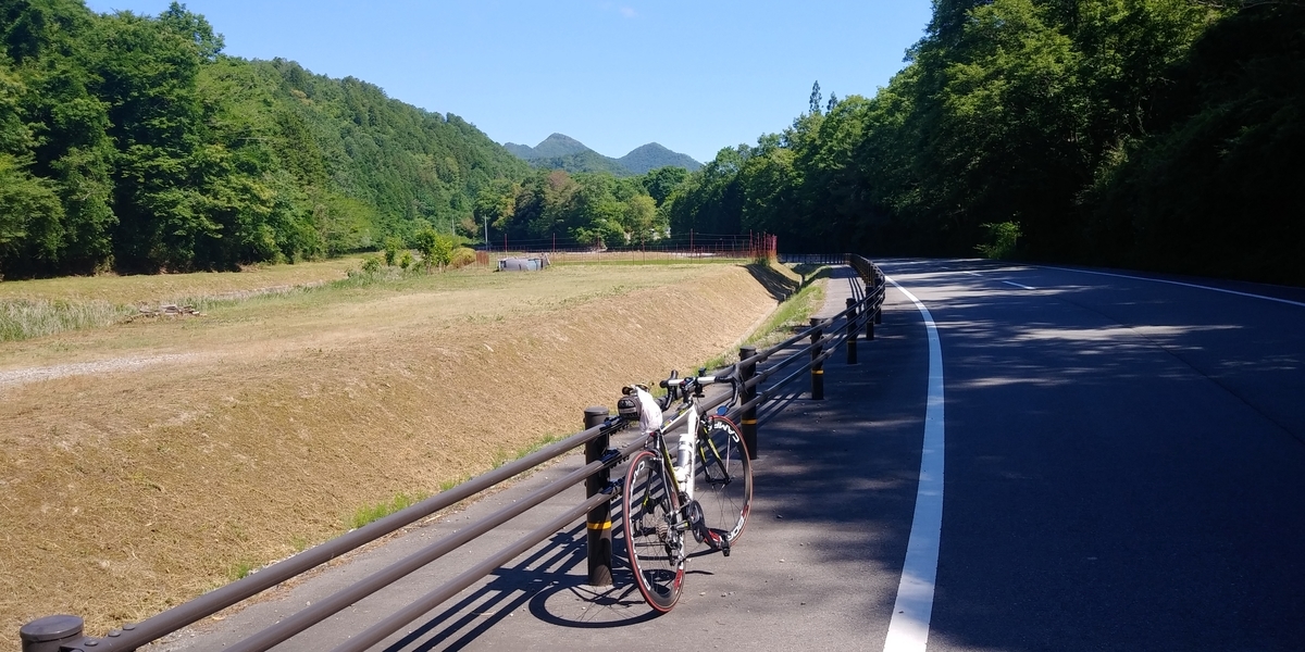 f:id:hirobees:20200607174840j:plain