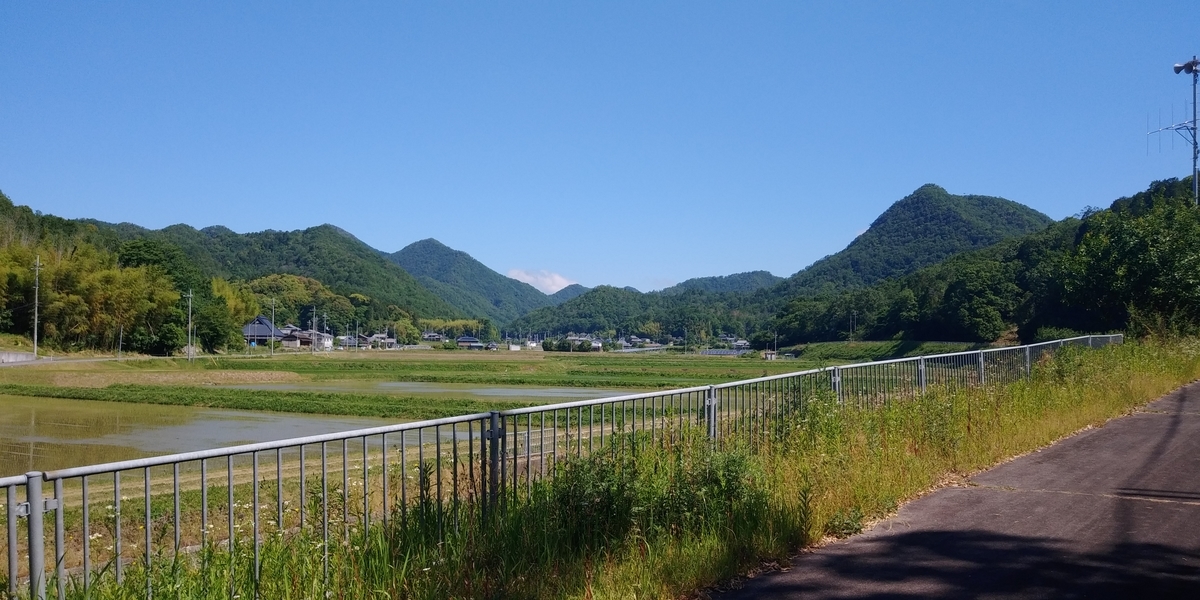 f:id:hirobees:20200607174908j:plain