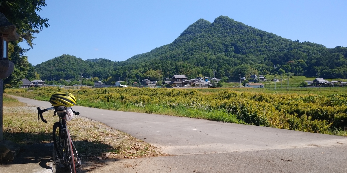 f:id:hirobees:20200607175124j:plain