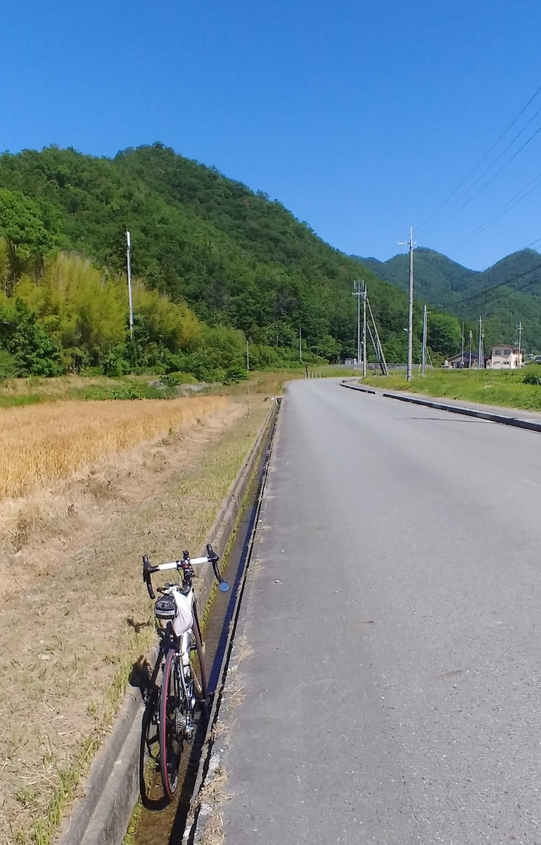 f:id:hirobees:20200607175253j:plain