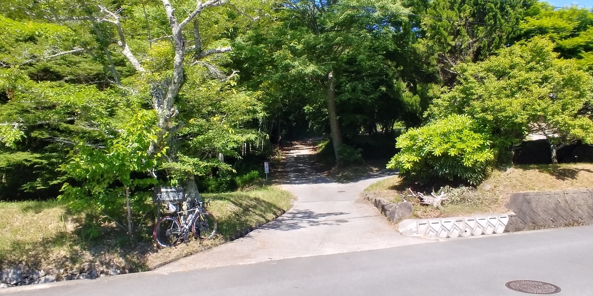 f:id:hirobees:20200607175346j:plain