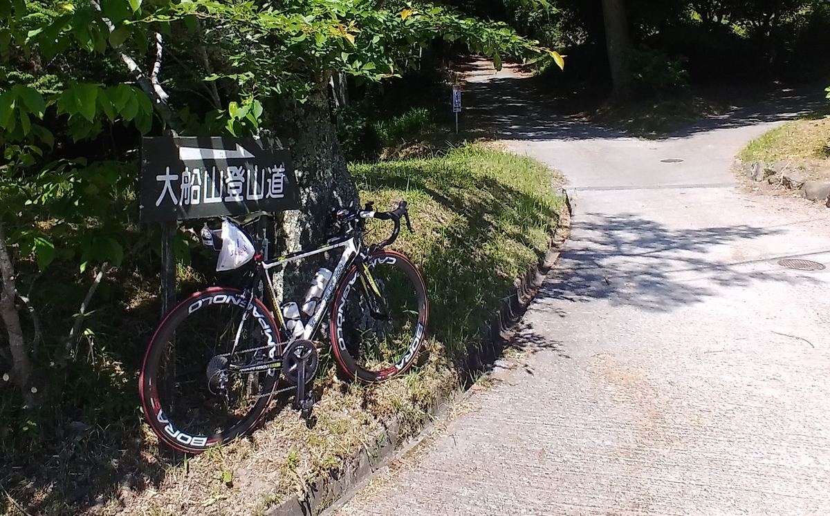 f:id:hirobees:20200607175454j:plain