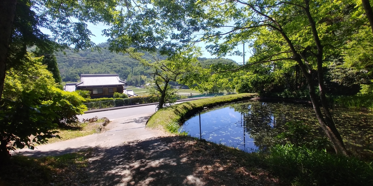 f:id:hirobees:20200607175535j:plain