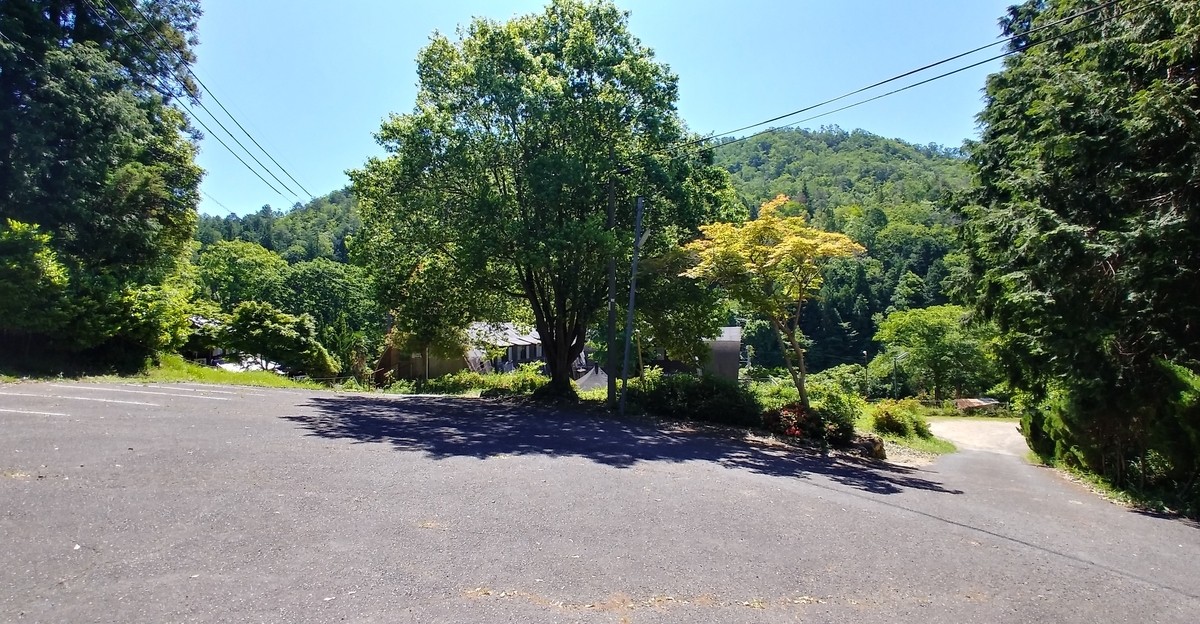 f:id:hirobees:20200607175643j:plain