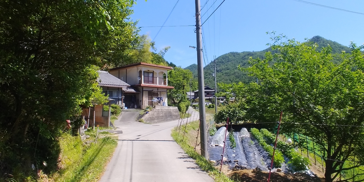 f:id:hirobees:20200607175836j:plain