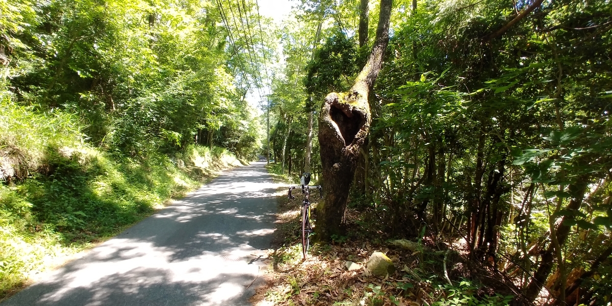 f:id:hirobees:20200607175902j:plain